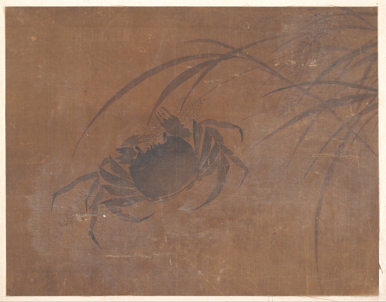螃蟹和芦苇 作者 匿名的
