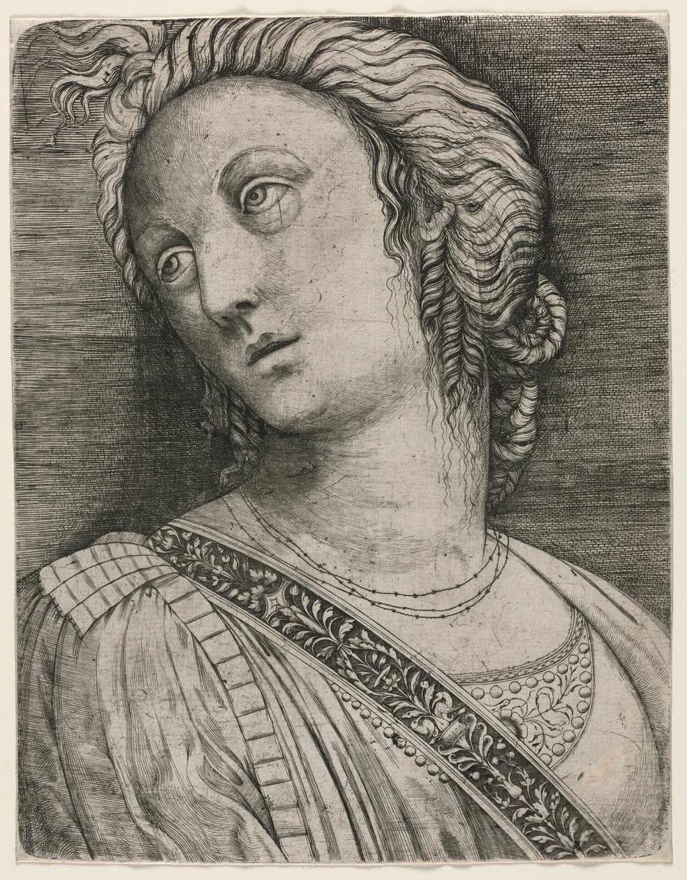 女性半身像 作者 归功于 Jacopo de' Barbari