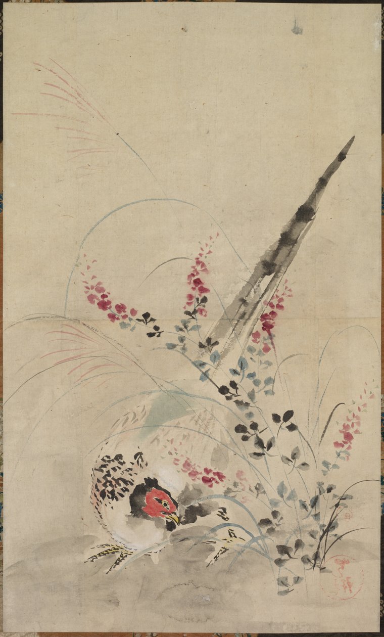 野鸡和草 作者 归于绪方光麟
