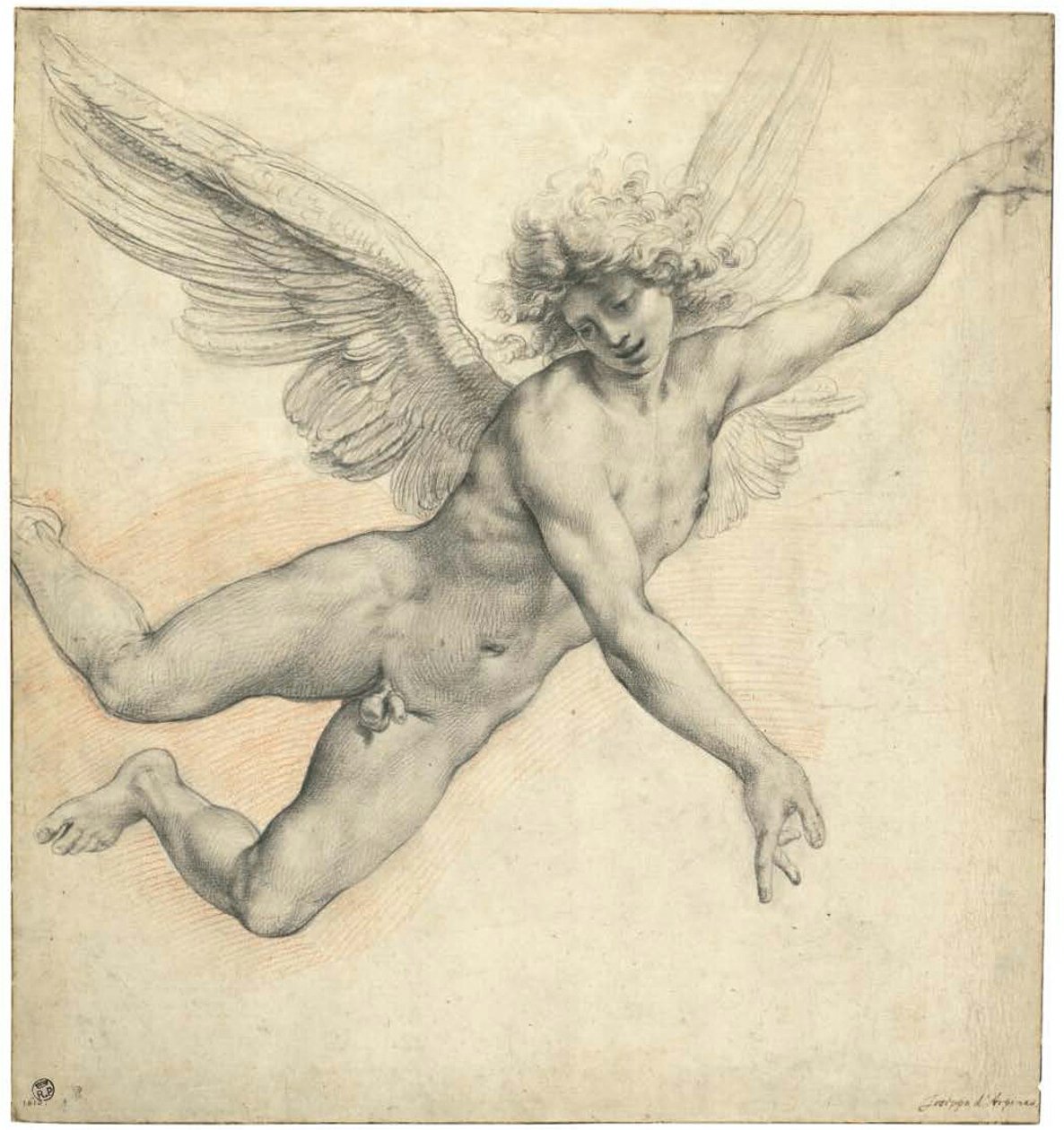 飞翔的天使 作者 名为 Cavaliere d'Arpino Giuseppe Cesari