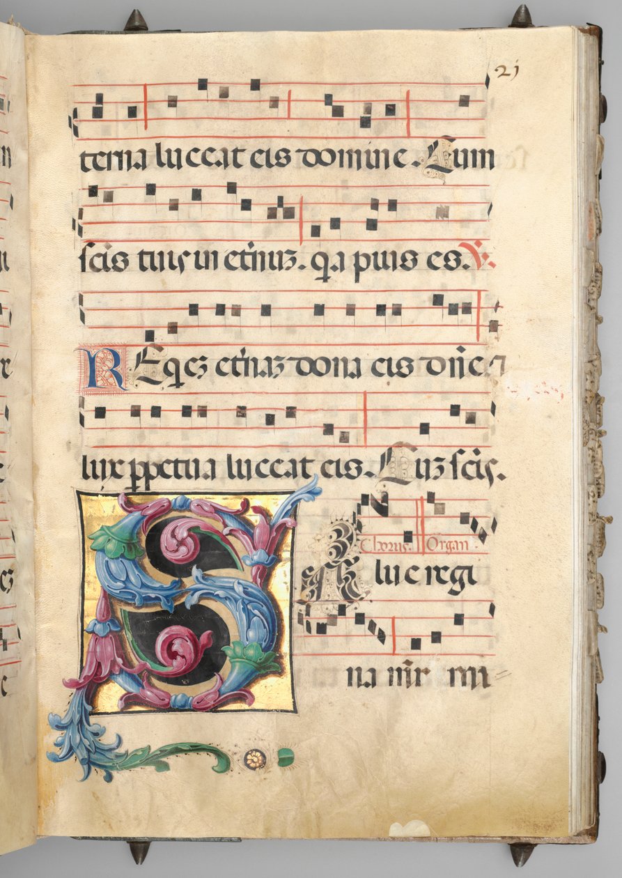 渐进式 作者 Girolamo dai Libri 圈子