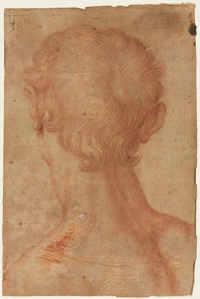 从背面看男子的头部 作者 在 Agnolo Bronzino 之后复制