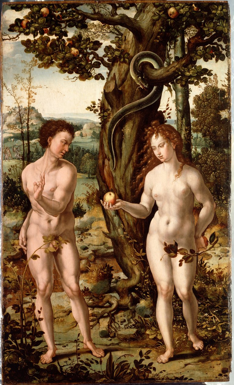 人类的堕落 作者 Pieter Coecke van Aelst的追随者