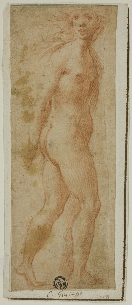 Proserpina 作者 朱塞佩·切萨里的追随者