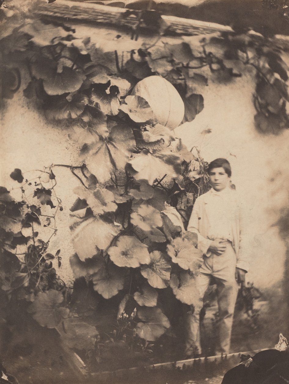 抱着南瓜藤的男孩，1854 年（照片） 作者 瓦兰兄弟