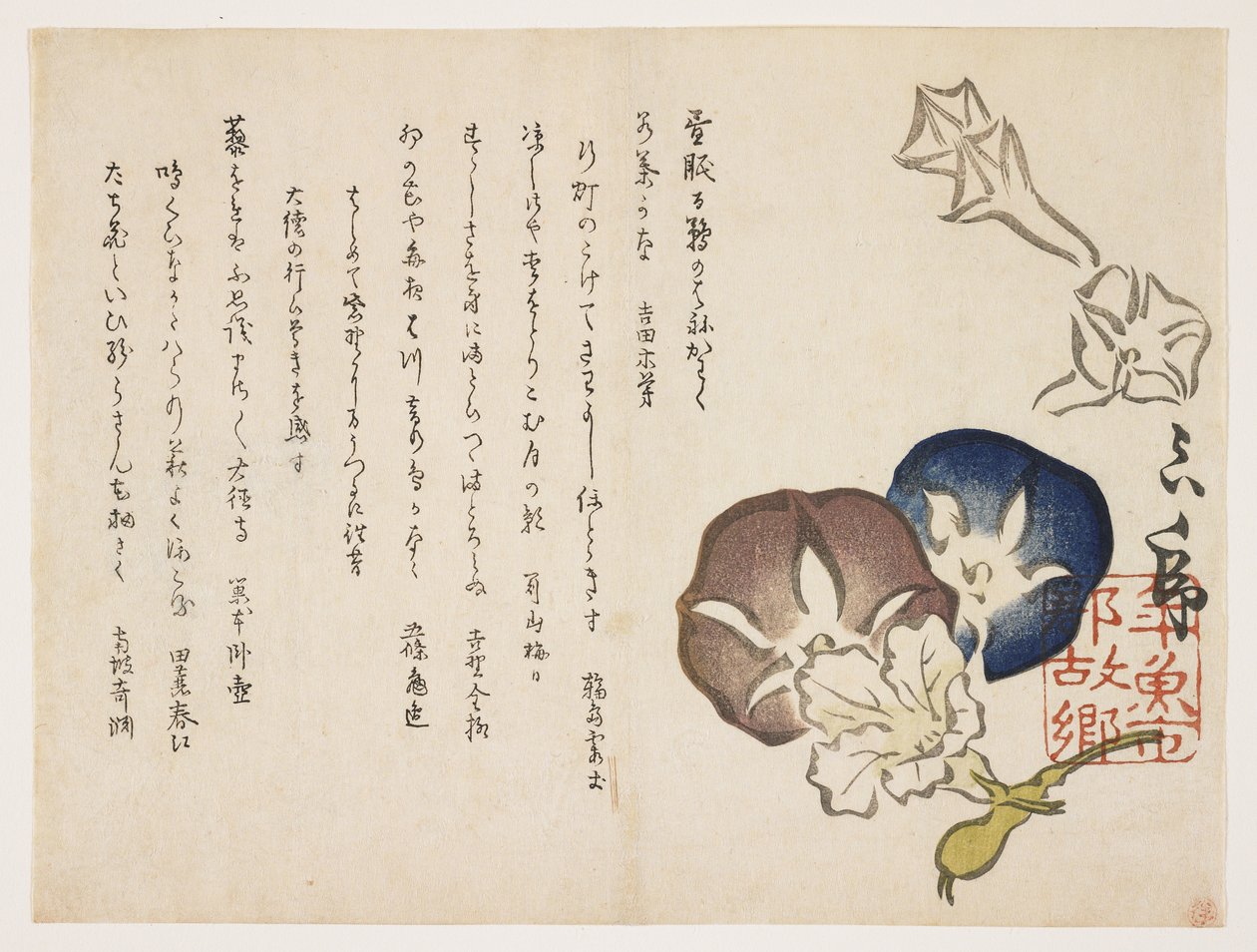 牵牛花，1830年（彩色木版画） 作者 石马多拉