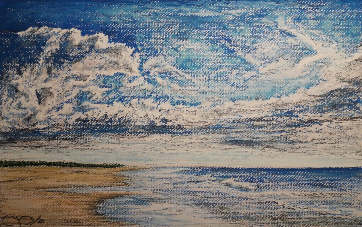 潘塔阿雷纳斯海滩 作者 miguelmendez_art.ve