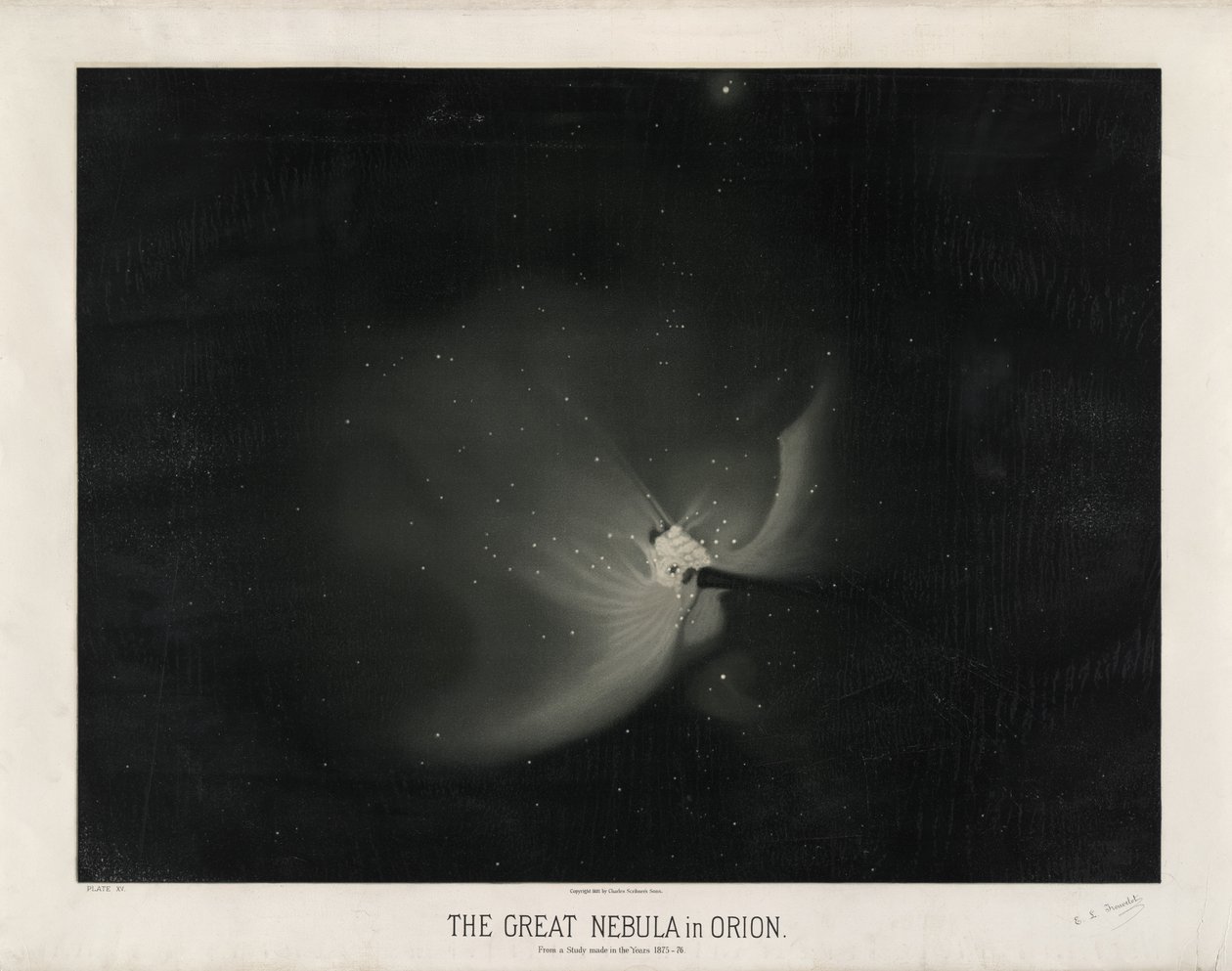 猎户座的大星云。来自1875  -  76年的一项研究。 （The Trouvelot Astronomical Drawings 1881-1882的XV板） 作者 ÉtienneLéopoldTrouvelot