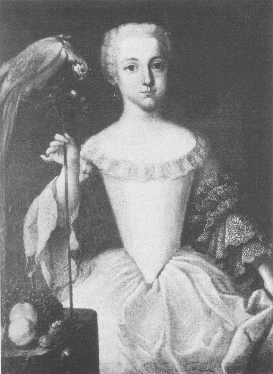 Franziska Antonia von Falkenstein，néeFranziskaAntonia von Schauenburg（1744-1786）的肖像 作者 不明