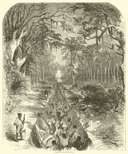 黑人在运河上工作，1863年3月（雕刻）。