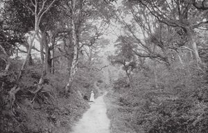 Fairlight Glen（黑白照片） 作者 （之后）英国摄影师