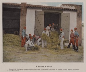 La Botte a Coco（彩色照片） 作者 （之后）法国摄影师