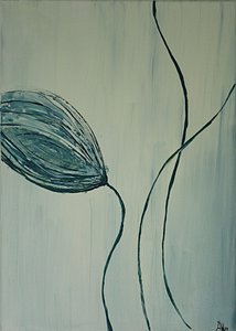 克诺斯佩 II