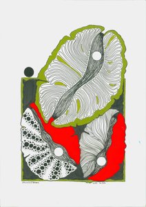 珍珠贝壳花 作者 乌尔斯·格鲁南费尔德