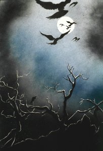 鸟类