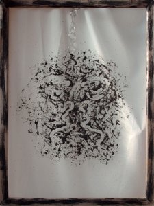 影响力 作者 安格尔·德马科