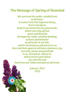 The Message of Spring of Rosental 作者 约翰娜蒂尔