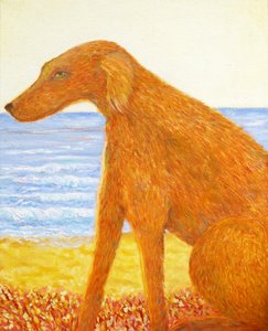 热量 作者 