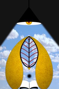 启蒙运动 V（世界之光） 作者 