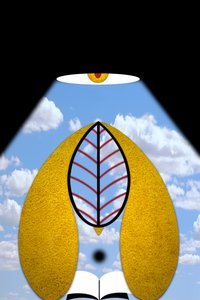 启蒙运动 V（世界之光 II） 作者 