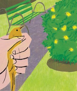 A Bird in the Hand..., 2016