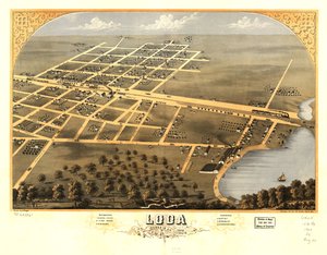 伊利诺伊州易洛魁公司洛达鸟瞰图，1869 年。编号 73693361 作者 一个;芝加哥平版印刷公司鲁格