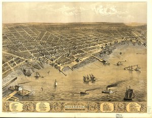 密歇根州马斯基根市鸟瞰图，1868 年。
