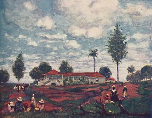 一个咖啡农场，1916年 作者 福雷斯特
