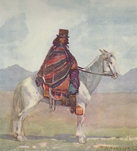 阿劳（Aaucanian）印度人，1916年