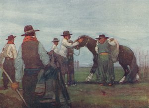 高乔人破马，1916年 作者 福雷斯特