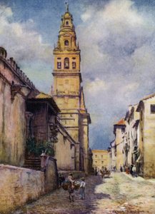 Cordova, Calle Cardinal Herrera (colour litho) 作者 特雷弗·哈登