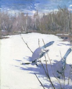 冬天的蓝鸦，为《动物王国中的隐蔽色彩》一书做的研究，约1905-1909年。 作者 雅培汉德森塞耶