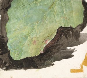 Heterocampa Biundata，Walker，为《动物王国的隐蔽色彩》一书所做的研究，n.d. 作者 雅培汉德森塞耶