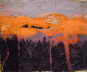 红火烈鸟，为《动物王国的隐蔽色彩》一书做研究，约1905-1909年。 作者 雅培汉德森塞耶