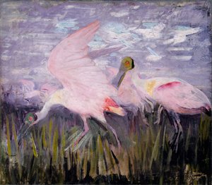 玫瑰色琵鹭，为《动物王国的隐蔽色彩》一书所做的研究，约1905-1909年。 作者 雅培汉德森塞耶