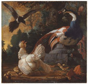 孔雀，家禽和喜in景观，1720年 作者 亚伯拉罕·比绍普（Abraham Bisschop）