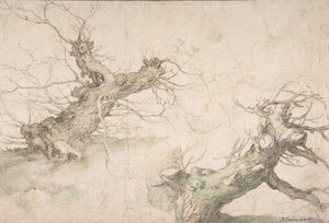 两棵波拉德柳树的研究》，对页：宽阔的景观前景，16世纪末-17世纪中期。
