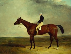 山姆-戴骑着沃福德先生的 "智慧号