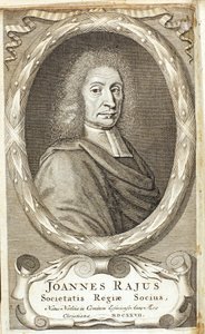 约翰-雷，英国博物学家，1680年代 作者 亚伯拉罕·德布卢瓦