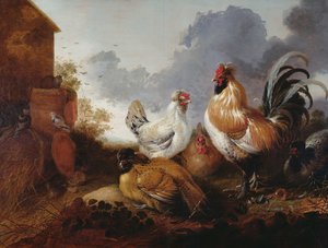 家禽在农家院里 作者 Abraham van Calraet