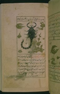 星座：天蝎座，蝎子，来自Talim dar marifat i taqvuim，1498（903 Hijra）（墨水） 作者 阿布贾法尔·塔巴里（Abu Jafar al Tabari）