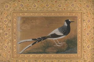 斑点叉尾鱼，来自Shah Jahan相册的对开页，直页：约1610-15，反面约1540。 作者 阿布哈桑