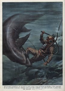 A Japanese diver with a scaphandler was devoured by a shark in the Pacific Ocean. Illustration by Achille Beltrame from “La domenica del corriere”” of 08/08/1937. 作者 阿基里·贝尔特拉姆（Achille Beltrame）