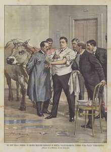 科学英雄，法国医生Garnault自愿注入情绪DUna Tuberculous Cow