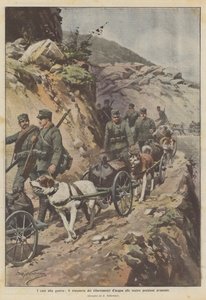 狗在战争中，将水供应运送到我们的先进位置 作者 Achille Beltrame