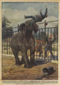 厚皮动物的罪行 作者 阿基里·贝尔特拉姆（Achille Beltrame）