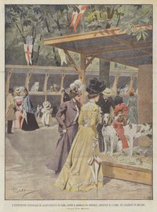 全国养犬展，来自庭院的猫和动物，出现在5 Corr In？ 作者 Achille Beltrame