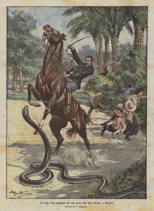 飞往西班牙马德里的航班dun serpente boa nel parco del Buen Retiro