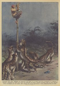 对老虎的围攻 作者 Achille Beltrame