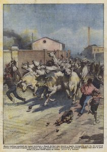 当他们从那不勒斯的铁路车厢上卸下时，24只牛逃跑了吗？ 作者 阿基里·贝尔特拉姆（Achille Beltrame）